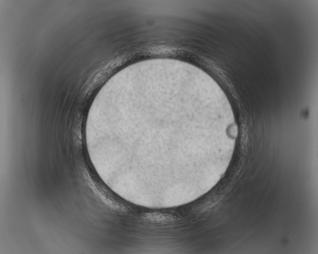 X0000115100633200912081300