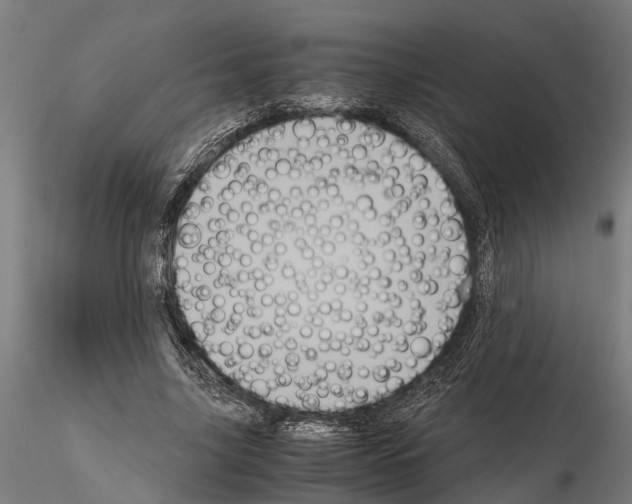 X0000115100635200912081300