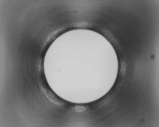 X0000115100636200912081300