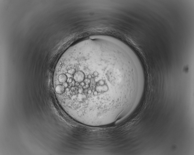 X0000115100637200912081300