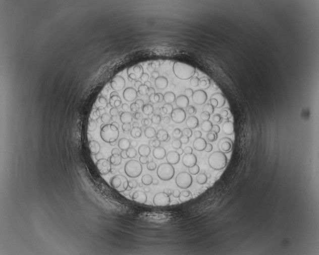 X0000115100639200912081300