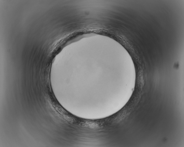 X0000115100640200912081300