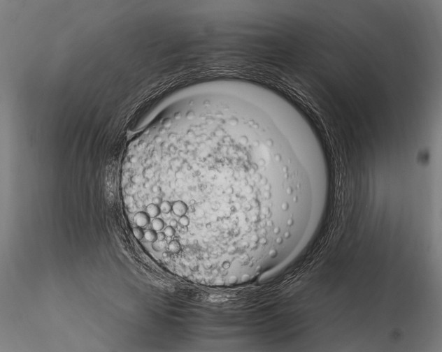 X0000115100641200912081300