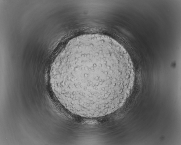 X0000115100642200912081300