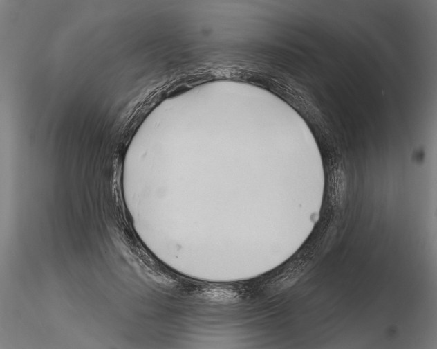 X0000115100644200912081300