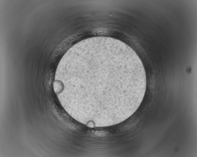 X0000115100645200912081300