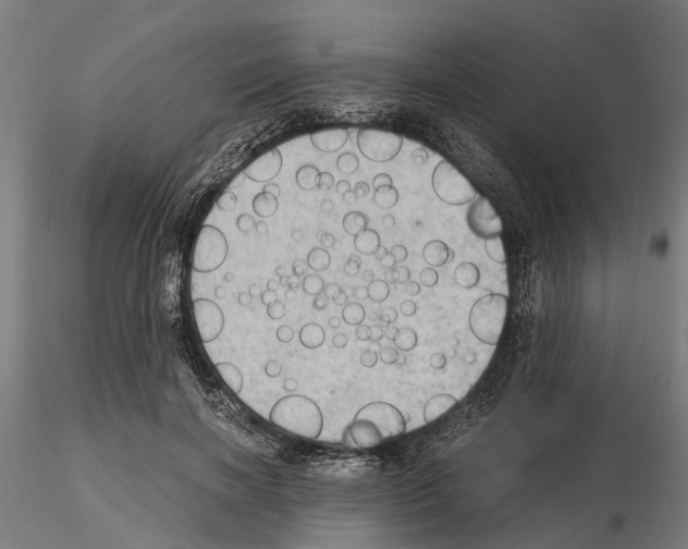 X0000115100646200912081300