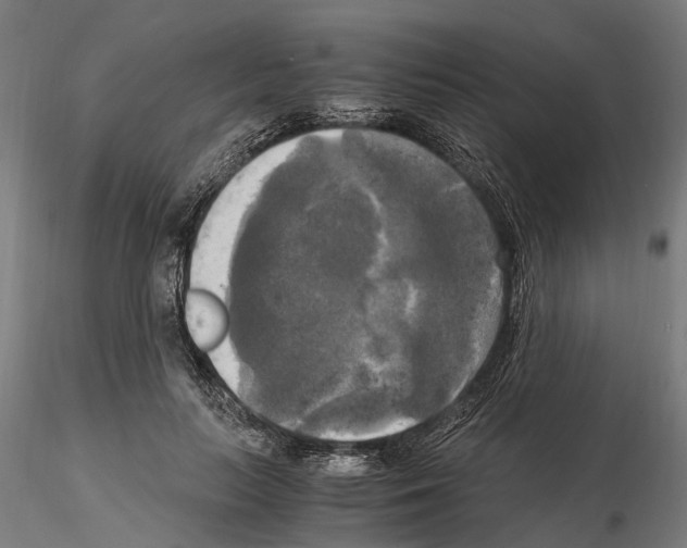 X0000115100647200912081300