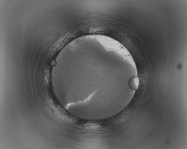 X0000115100648200912081300