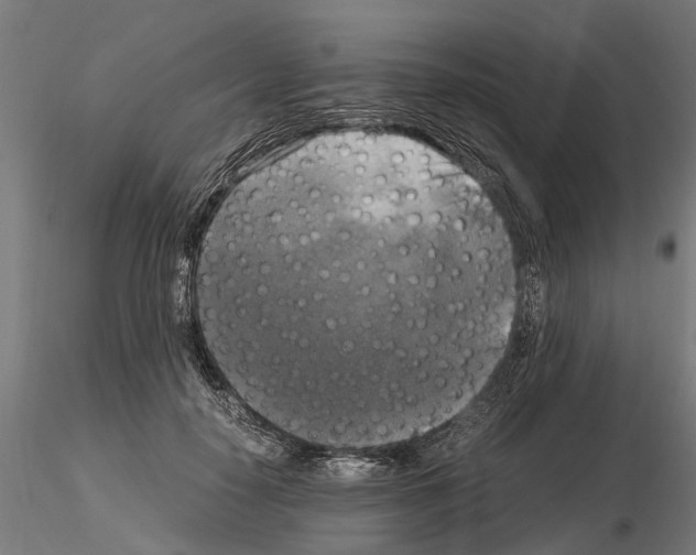 X0000115100650200912081300