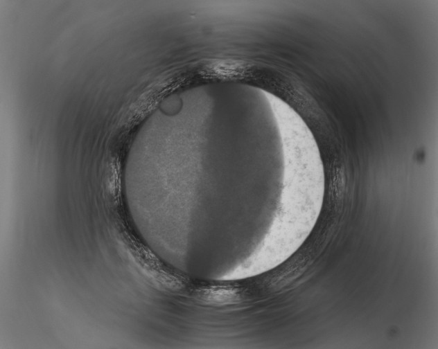 X0000115100651200912081300