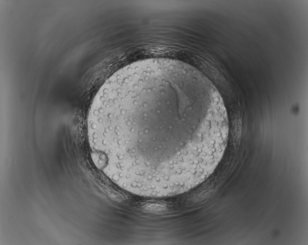 X0000115100653200912081300