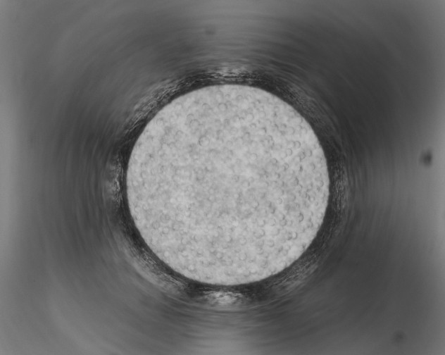 X0000115100654200912081300