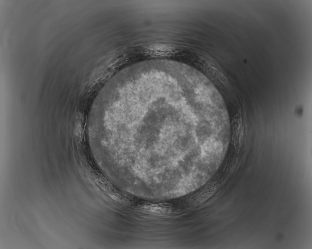 X0000115100655200912081300