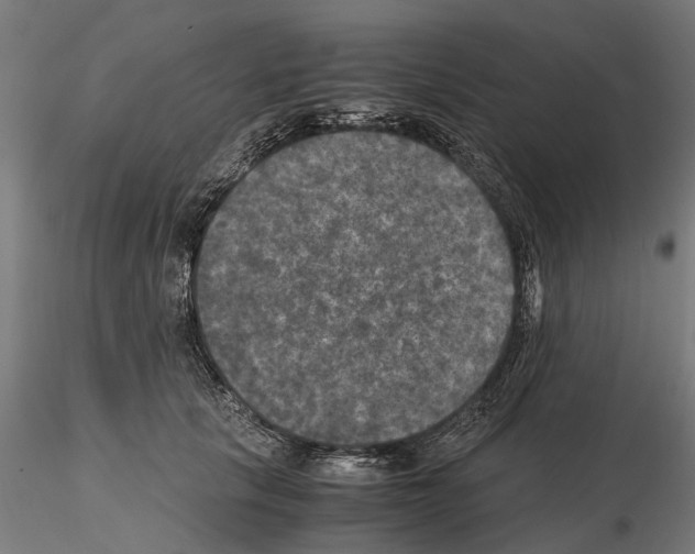 X0000115100657200912081300