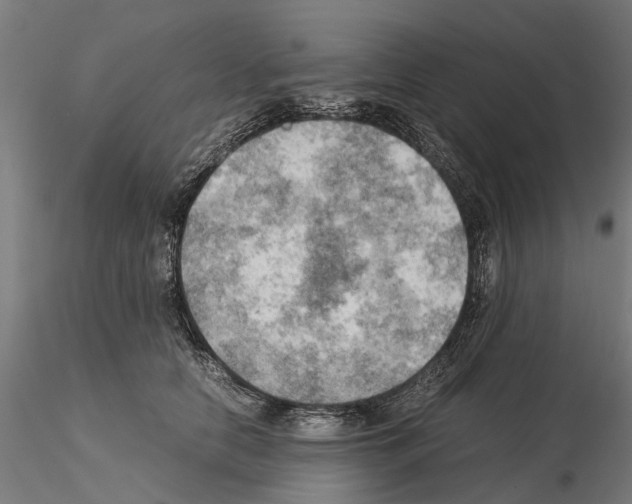 X0000115100658200912081300