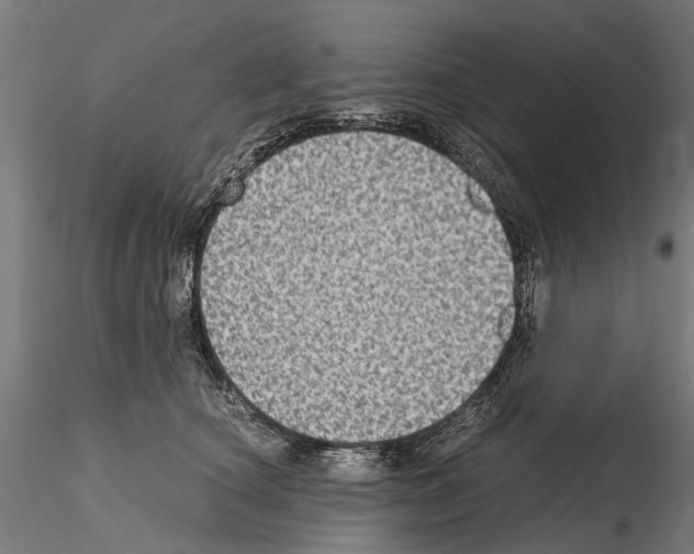 X0000115100660200912081300