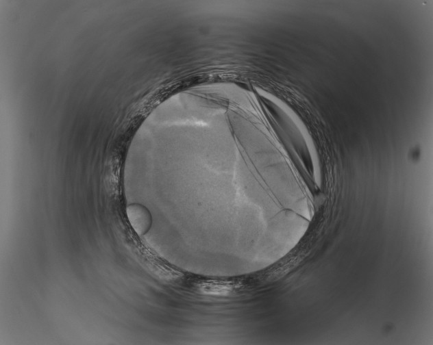 X0000115100661200912081300