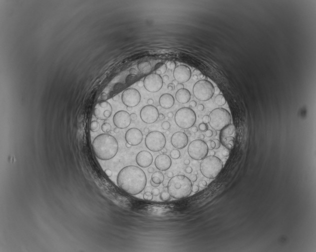 X0000115100662200912081300