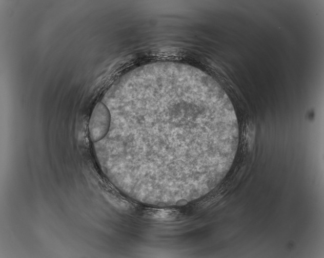 X0000115100663200912081300