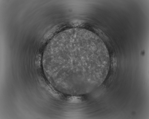 X0000115100664200912081300