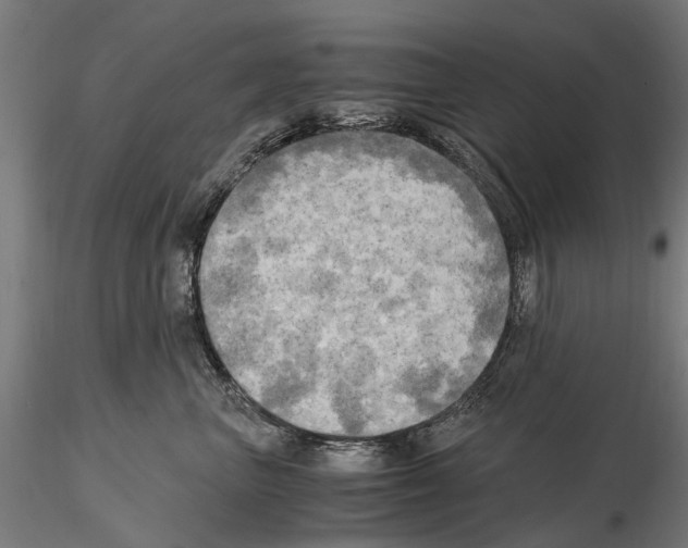 X0000115100667200912081300