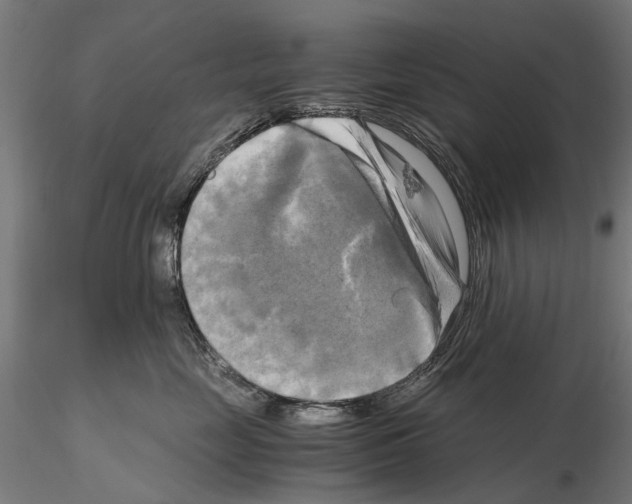 X0000115100669200912081300