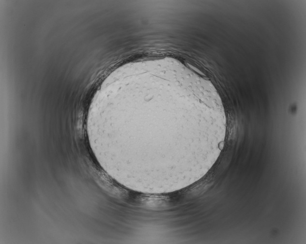 X0000115100670200912081300