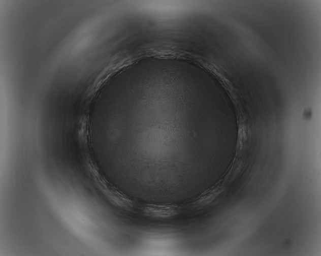 X0000115100671200912081300