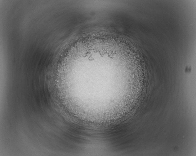 X0000115100672200912081300