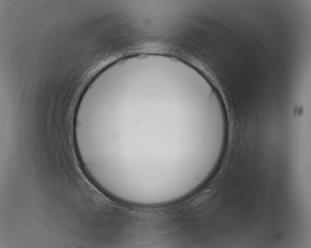 X0000115100673200912081259