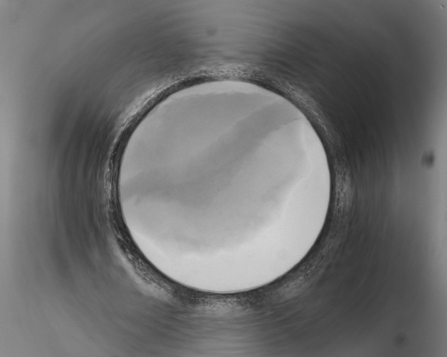 X0000115100674200912081259