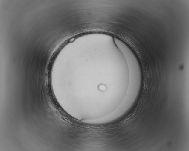 X0000115100676200912081259