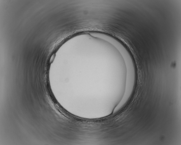 X0000115100677200912081259