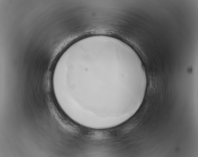 X0000115100678200912081259