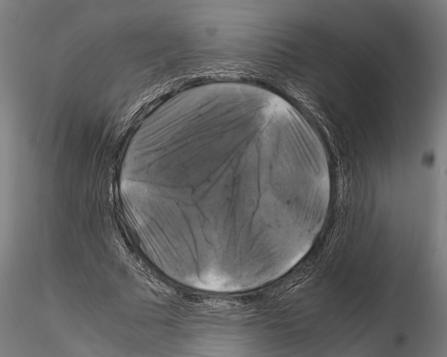 X0000115100681200912081259