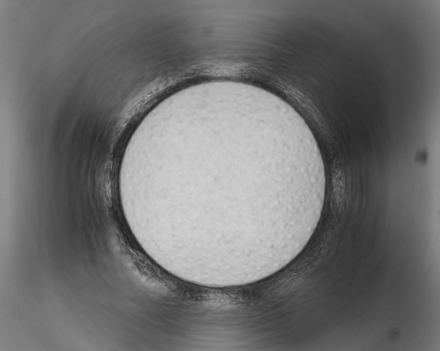 X0000115100682200912081259