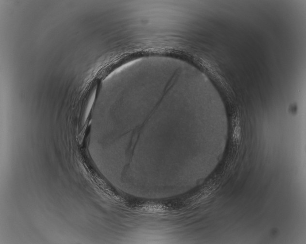 X0000115100685200912081259