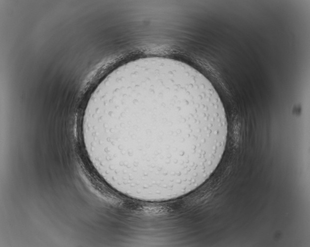 X0000115100686200912081259