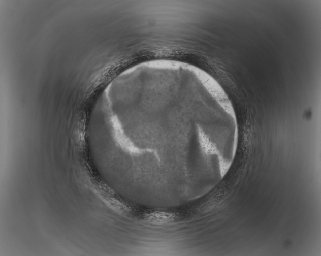 X0000115100691200912081259