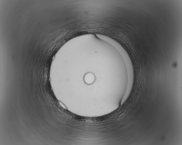 X0000115100697200912081259