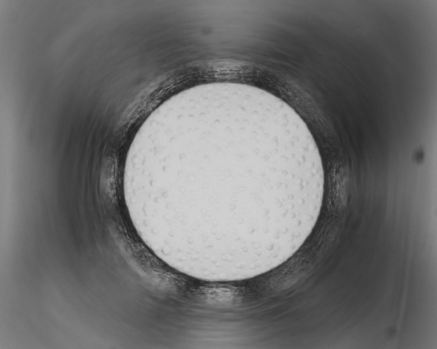 X0000115100698200912081259