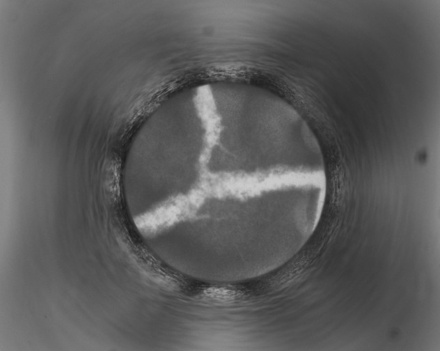 X0000115100699200912081259