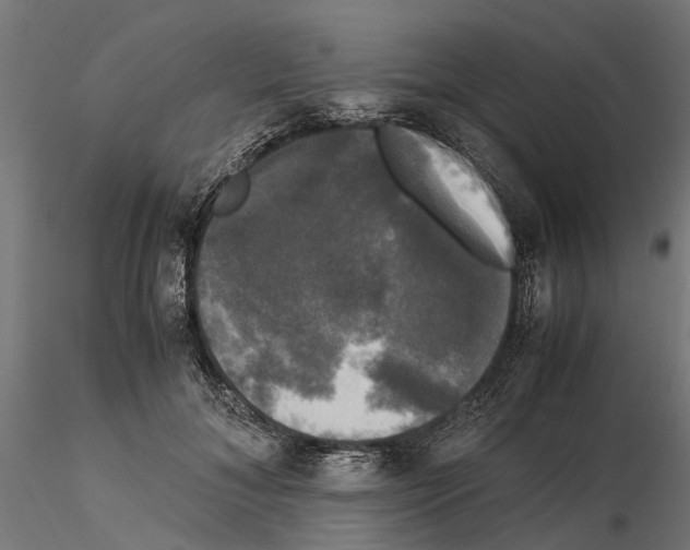 X0000115100700200912081259