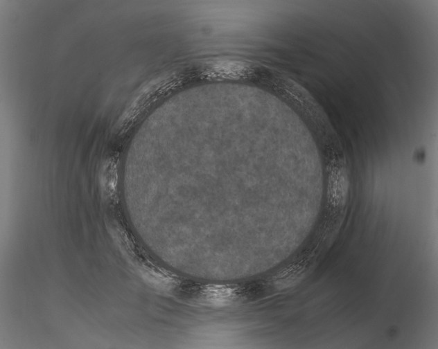 X0000115100701200912081259