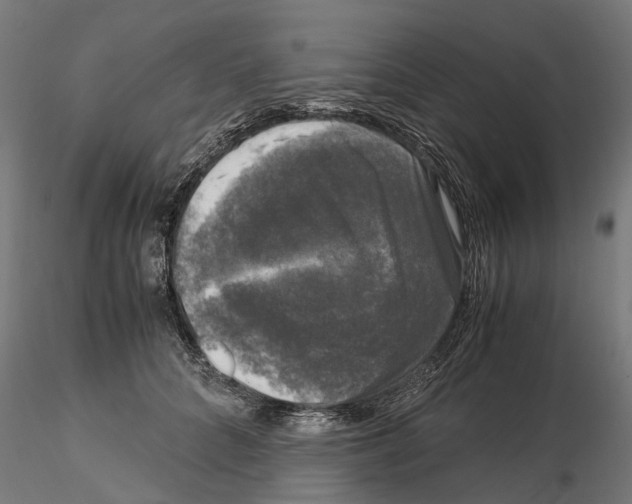 X0000115100704200912081259