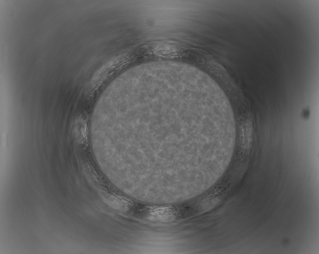 X0000115100705200912081259