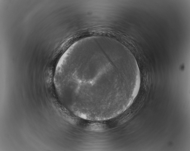 X0000115100708200912081259