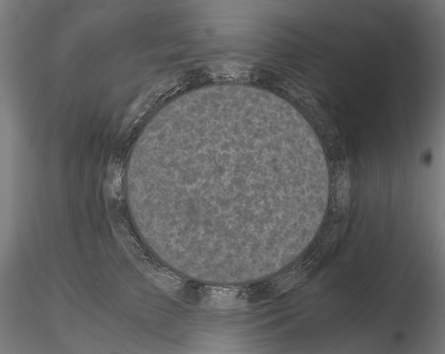 X0000115100709200912081259