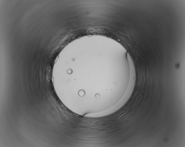 X0000115100712200912081259